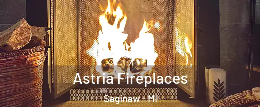  Astria Fireplaces Saginaw - MI