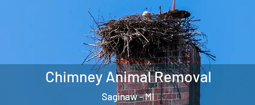 Chimney Animal Removal Saginaw - MI
