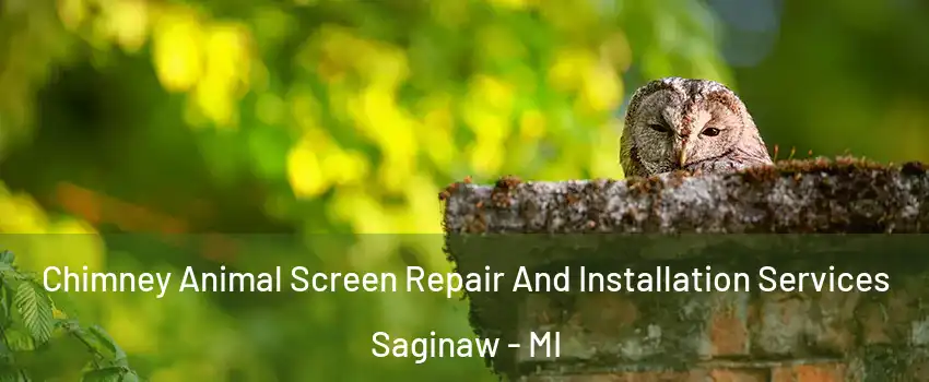  Chimney Animal Screen Repair And Installation Services Saginaw - MI
