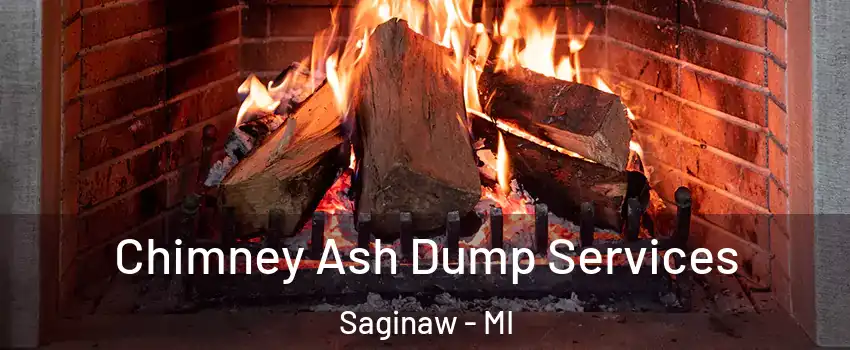  Chimney Ash Dump Services Saginaw - MI