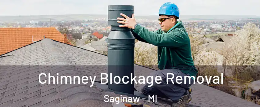  Chimney Blockage Removal Saginaw - MI