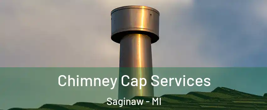  Chimney Cap Services Saginaw - MI