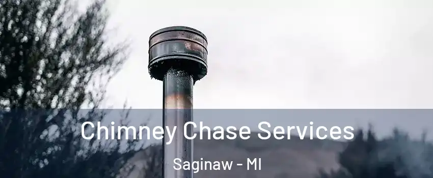  Chimney Chase Services Saginaw - MI