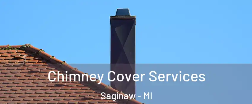  Chimney Cover Services Saginaw - MI
