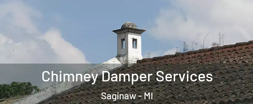  Chimney Damper Services Saginaw - MI