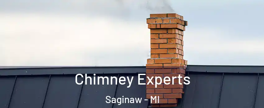 Chimney Experts Saginaw - MI