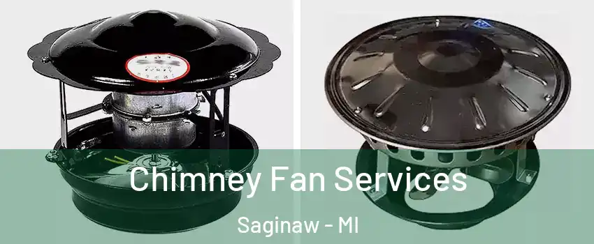  Chimney Fan Services Saginaw - MI