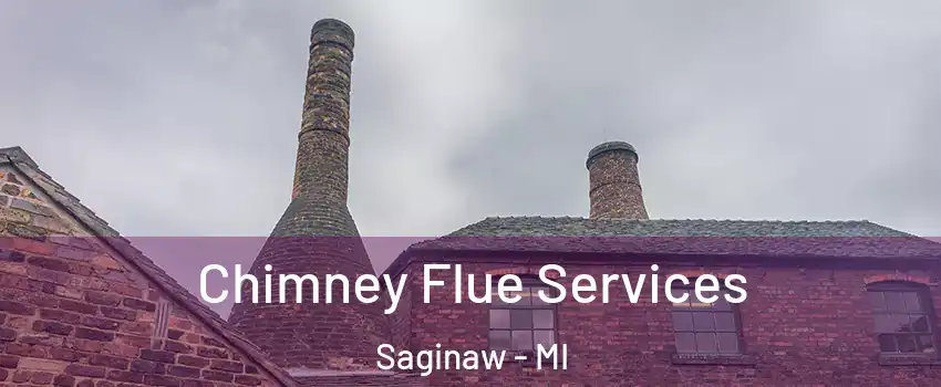  Chimney Flue Services Saginaw - MI
