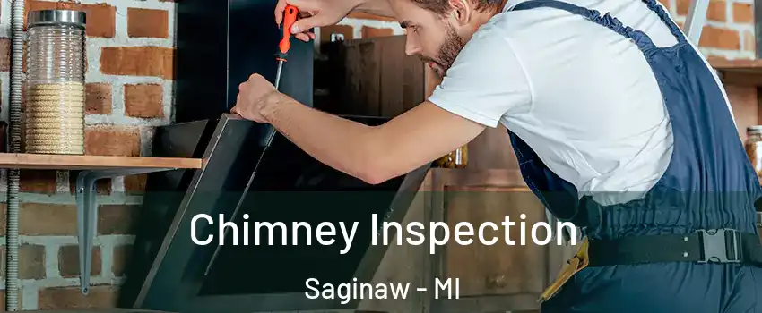  Chimney Inspection Saginaw - MI