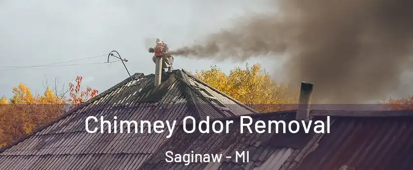  Chimney Odor Removal Saginaw - MI