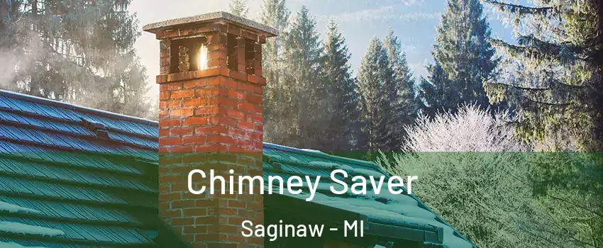  Chimney Saver Saginaw - MI