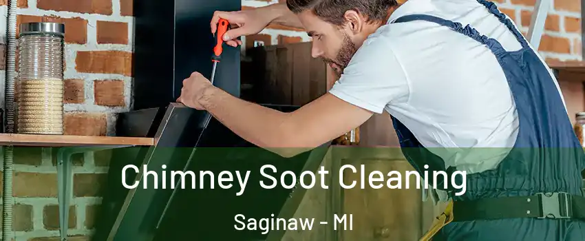  Chimney Soot Cleaning Saginaw - MI