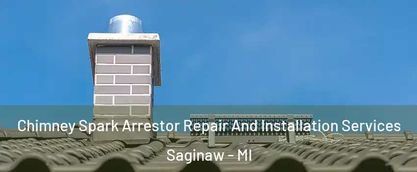  Chimney Spark Arrestor Repair And Installation Services Saginaw - MI