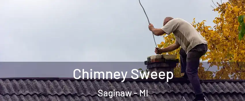  Chimney Sweep Saginaw - MI