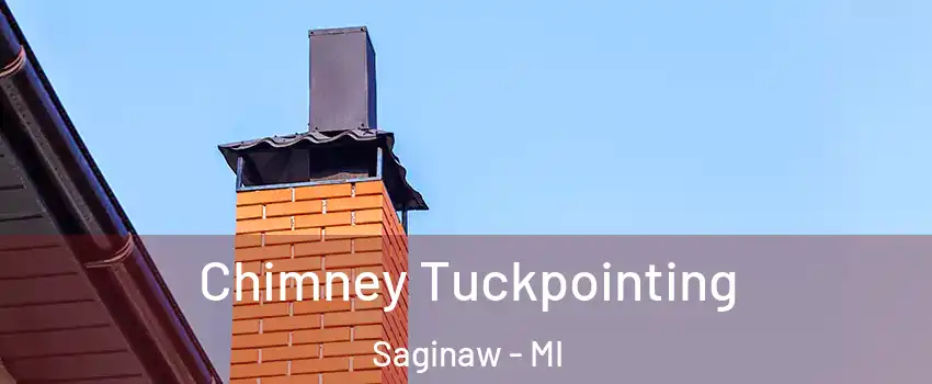  Chimney Tuckpointing Saginaw - MI
