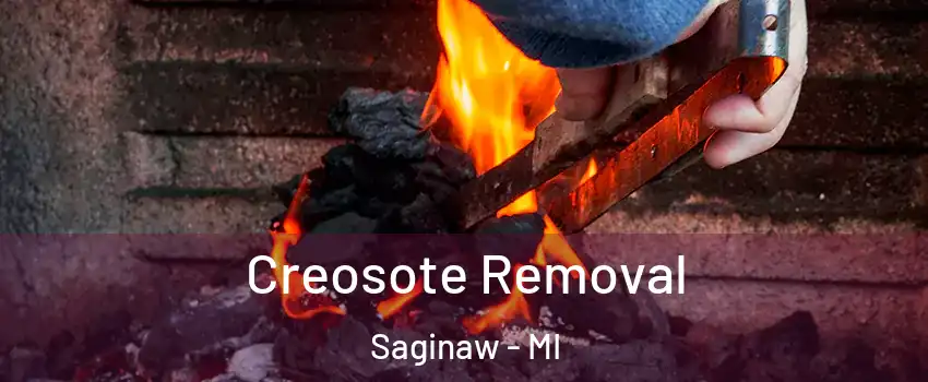  Creosote Removal Saginaw - MI