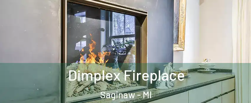  Dimplex Fireplace Saginaw - MI