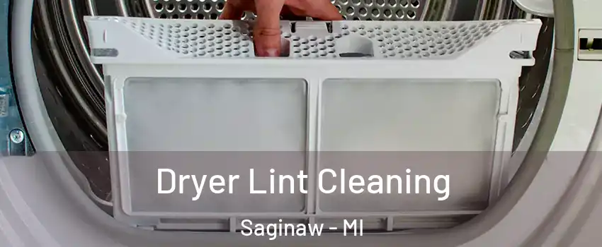  Dryer Lint Cleaning Saginaw - MI