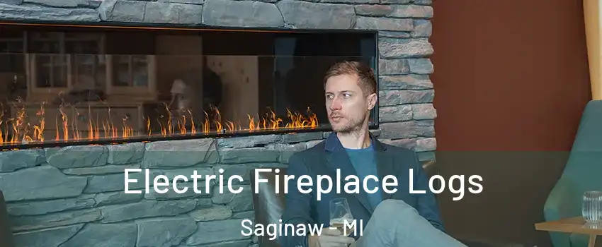 Electric Fireplace Logs Saginaw - MI