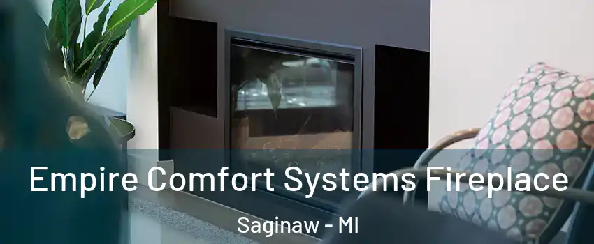  Empire Comfort Systems Fireplace Saginaw - MI