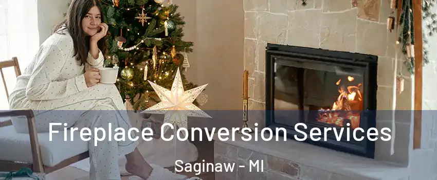  Fireplace Conversion Services Saginaw - MI