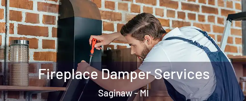  Fireplace Damper Services Saginaw - MI