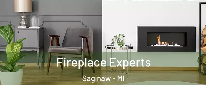  Fireplace Experts Saginaw - MI