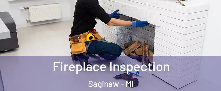  Fireplace Inspection Saginaw - MI
