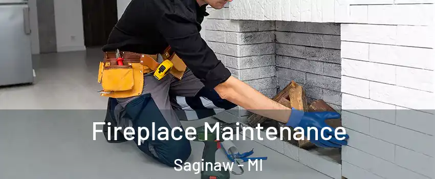  Fireplace Maintenance Saginaw - MI