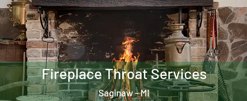  Fireplace Throat Services Saginaw - MI