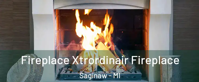  Fireplace Xtrordinair Fireplace Saginaw - MI