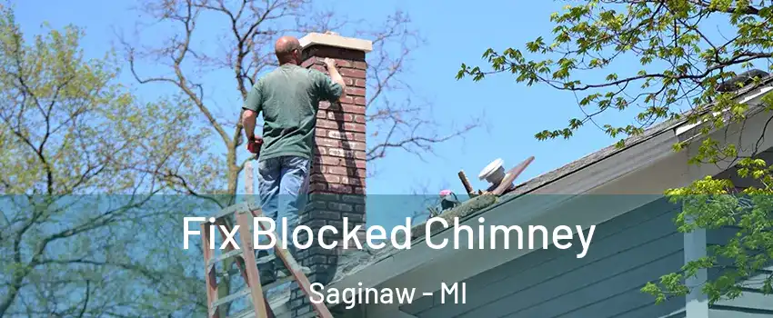  Fix Blocked Chimney Saginaw - MI