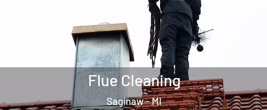  Flue Cleaning Saginaw - MI