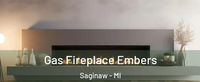  Gas Fireplace Embers Saginaw - MI