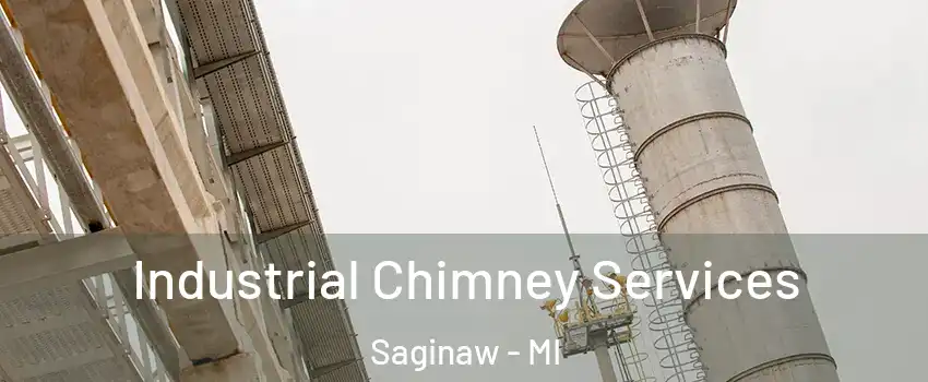  Industrial Chimney Services Saginaw - MI
