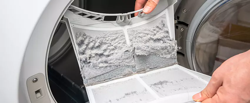 Best Dryer Lint Removal Company in Saginaw, Michigan