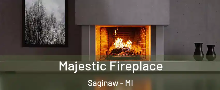  Majestic Fireplace Saginaw - MI