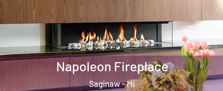  Napoleon Fireplace Saginaw - MI