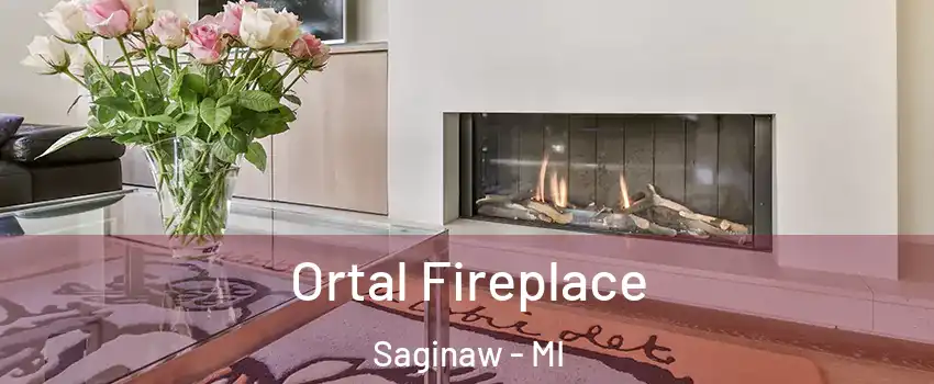 Ortal Fireplace Saginaw - MI