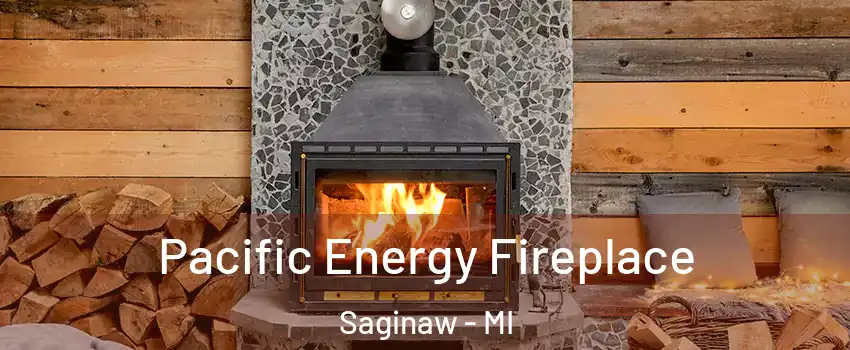  Pacific Energy Fireplace Saginaw - MI