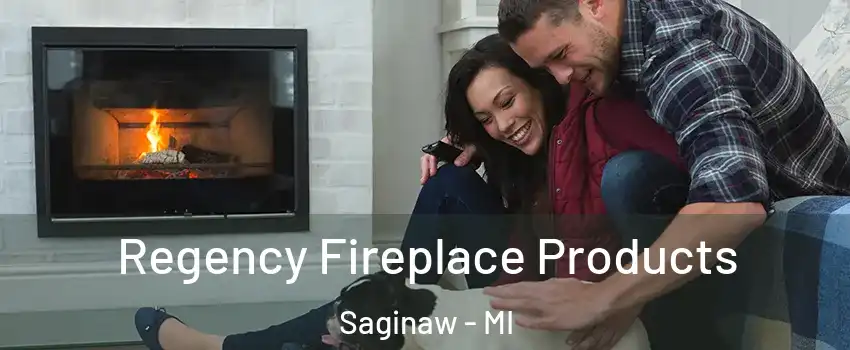  Regency Fireplace Products Saginaw - MI
