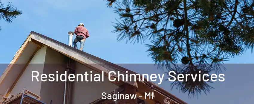  Residential Chimney Services Saginaw - MI