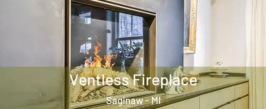  Ventless Fireplace Saginaw - MI